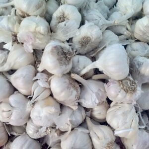 GARLIC - HIMACHAL  HILL